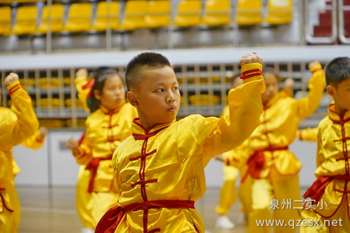 1572329820484952.jpg 1572329820484952.jpg